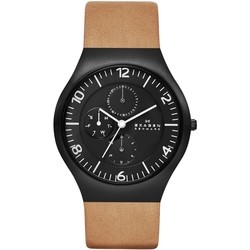 Skagen SKW6114