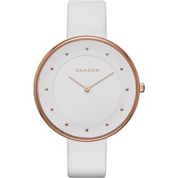 Skagen SKW2291