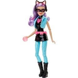 Barbie Cat Burglar DHF18