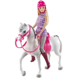 Barbie Doll and Horse DHB68