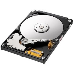 Lenovo ThinkServer HDD 2.5"