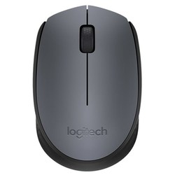 Logitech Wireless Mouse M170