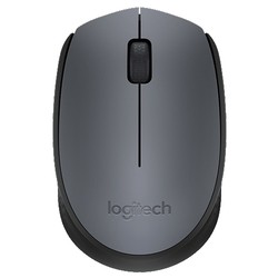 Logitech Wireless Mouse M171 (серый)