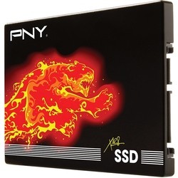 PNY SSD7CS2111-240