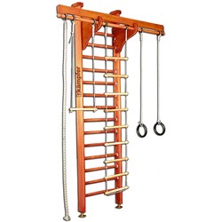 Kampfer Wooden Ladder Ceiling