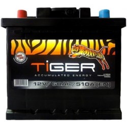 Tiger Standard 6CT-100R