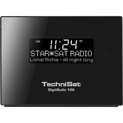 TechniSat DigitRadio 100