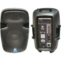 AudioVoice AP212D