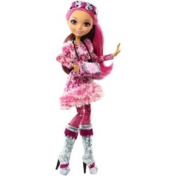 Ever After High Epic Winter Briar Beauty DKR65