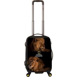 National Geographic BIG CATS Lion 28