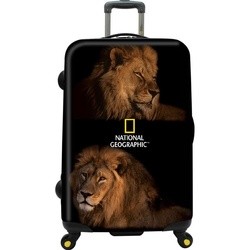 National Geographic BIG CATS Lion 80
