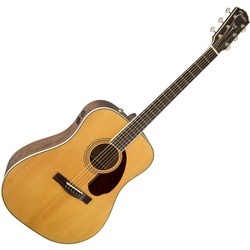 Fender PM-1 Standard Dreadnought