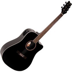 Washburn D10SCE