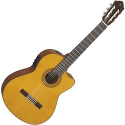 Yamaha CGX122MSC