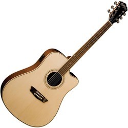 Washburn WCD18CE