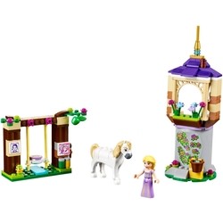 Lego Rapunzels Best Day Ever 41065
