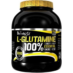 BioTech 100% L-Glutamine 500 g