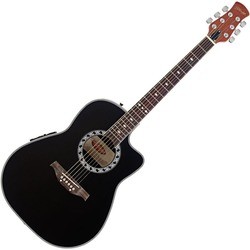 Stagg A4006