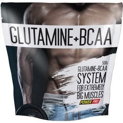 Power Pro Glutamine/BCAA 500 g