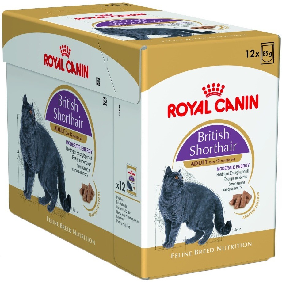 Кошки 12 кг. Роял Канин Бритиш Шортхэйр. Royal Canin British Shorthair соус. Роял Канин Бритиш Шортхэйр влажный. Royal Canin Британская короткошерстная.