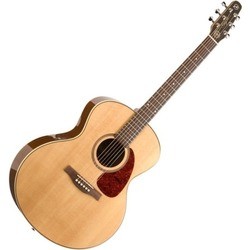 Seagull Maritime SWS MJ HG QI