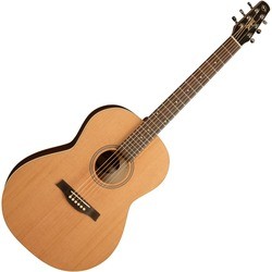 Seagull Coastline Cedar Folk