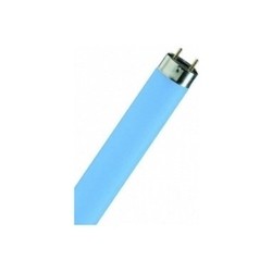 Osram LUMILUX T8 18W Blue G13