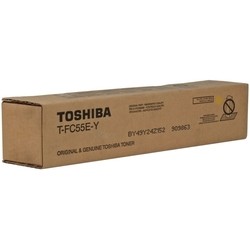 Toshiba T-FC55E-Y