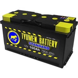Tyumen Battery Standard (6CT-100L)