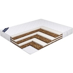 Beautyson Zebra 200x190