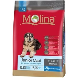 Molina Junior Maxi Breed 3 kg