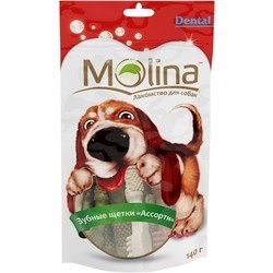 Molina Delicacy Dental Toothbrushes 0.14 kg